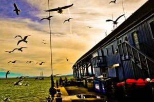 如何轰炸小三电话